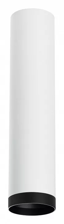 

Накладной светильник Lightstar Rullo R4963437