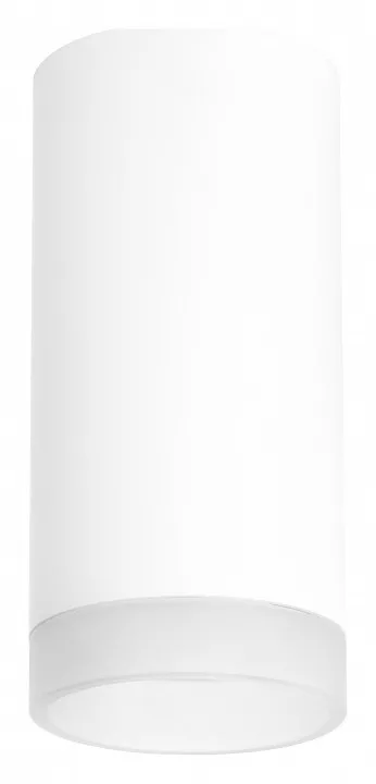 

Потолочный светильник Lightstar Rullo (216486+202480) R648680