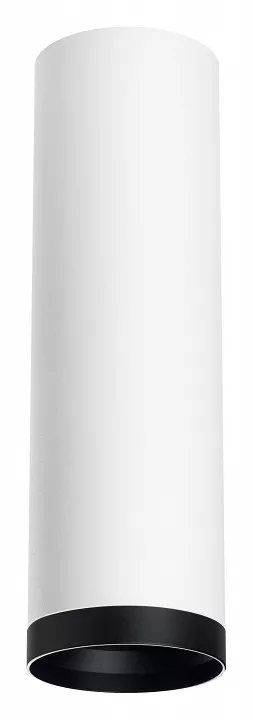 

Накладной светильник Lightstar Rullo R64963487