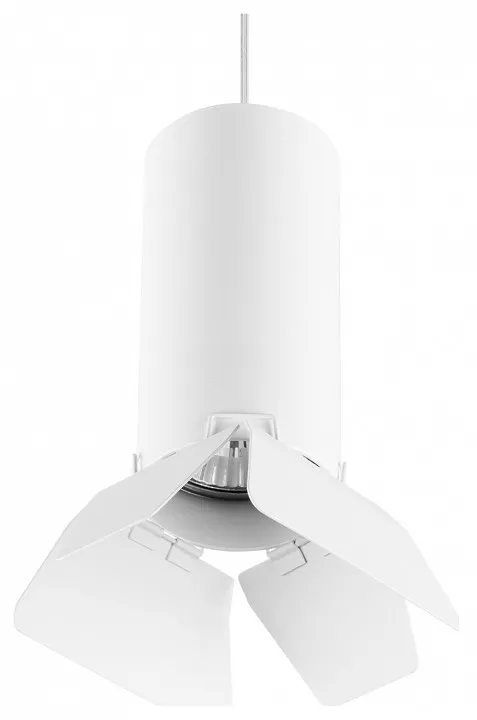 

Подвесной светильник Lightstar Rullo RP486436