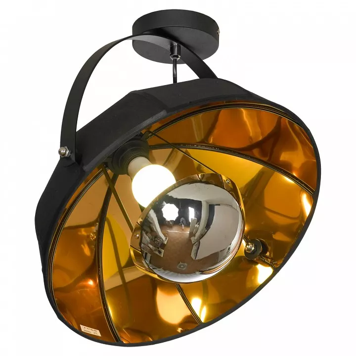 

Светильник на штанге Lussole Klamath LSP-0556-C