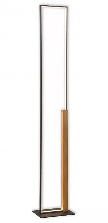 

Торшер Lussole Modesto LSP-0906