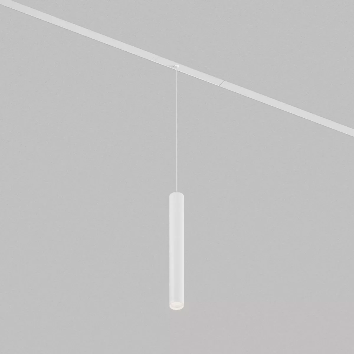 

Трековый однофазный светильник Denkirs Simple Spot DK8108-WH