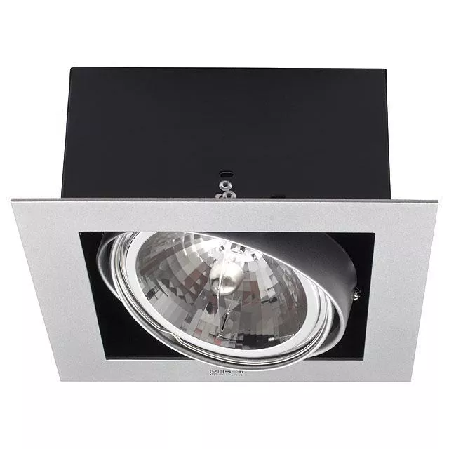 

Карданный светильник Kanlux MATEO DLP-150-GR 4960