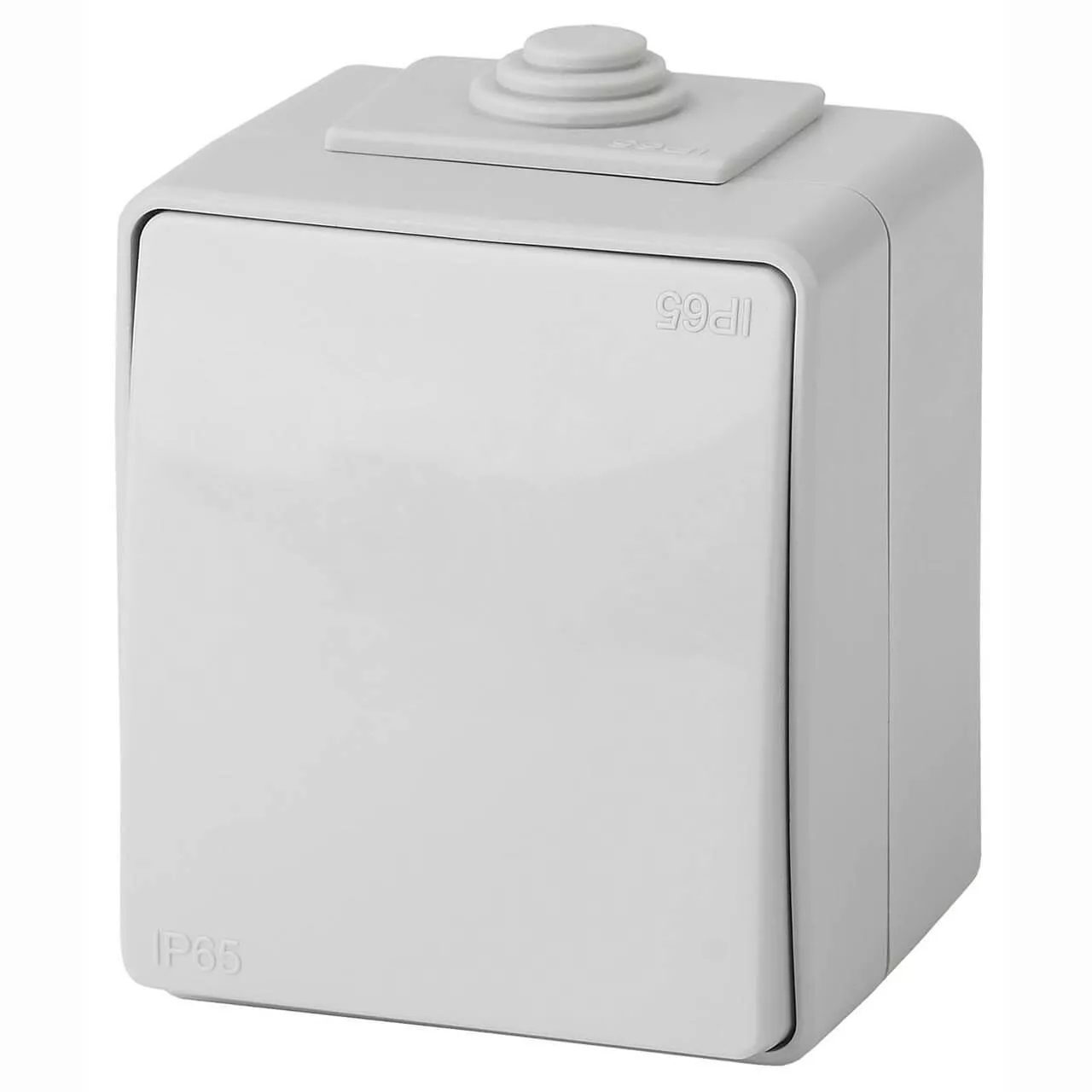 

Переключатель одноклавишный ЭРА Эксперт 10AX 250V IP65 11-1603-03 Б0035975