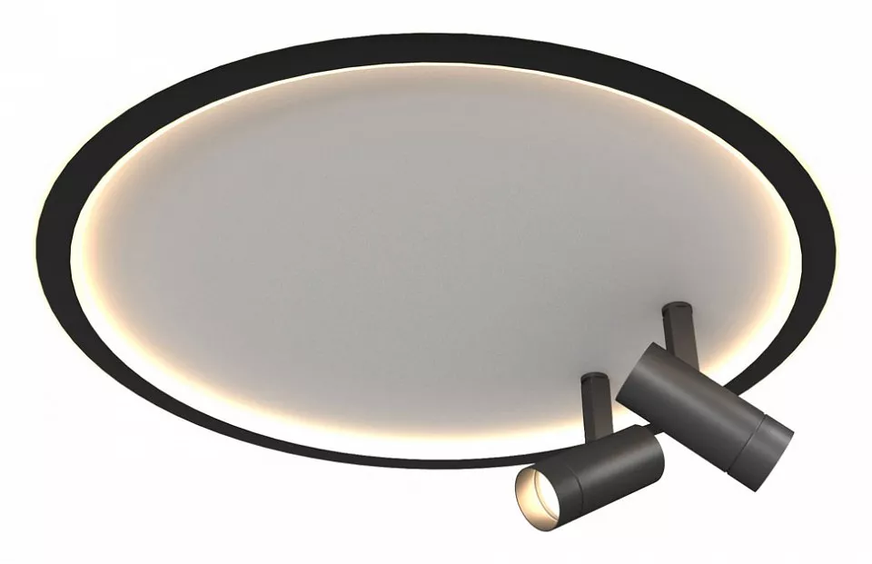 

Накладной светильник Milosh Tendence 822 0822CL-74BK