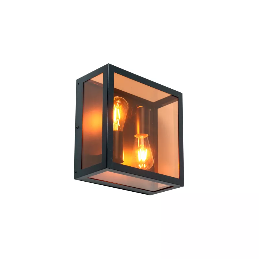 

Фасадный светильник General GWL-2E27-IP65 662475