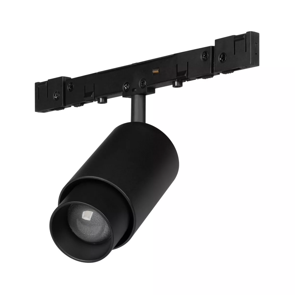 

Трековый магнитный светильник Arlight MAG-MICROCOSM-SPOT-ZOOM-R30-2W Day4000 (BK, 15-45 deg, 24V) (IP20 Металл) 050967