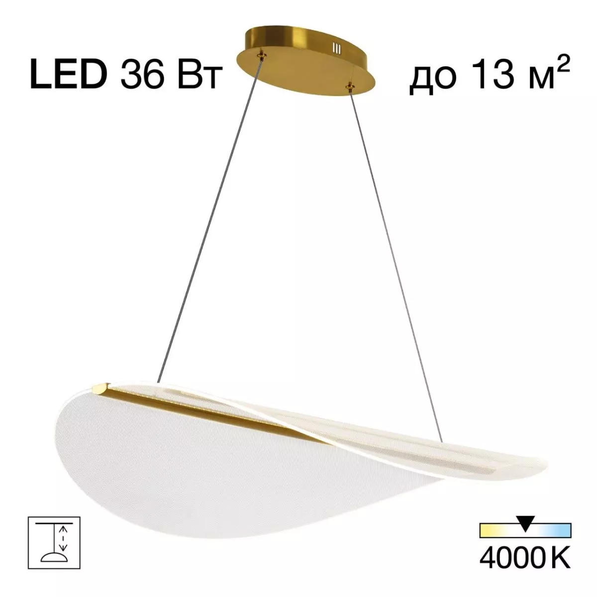 

Подвесной светильник Citilux Skatt CL213132