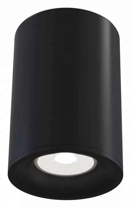 

Потолочный светильник Maytoni Alfa C012CL-01B
