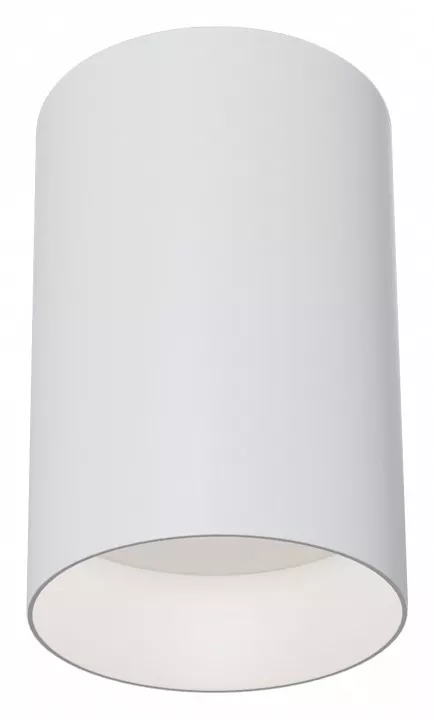 

Потолочный светильник Maytoni Alfa C014CL-01W