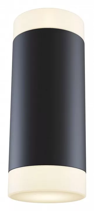 

Настенный светильник Maytoni Dafne C027WL-L10B