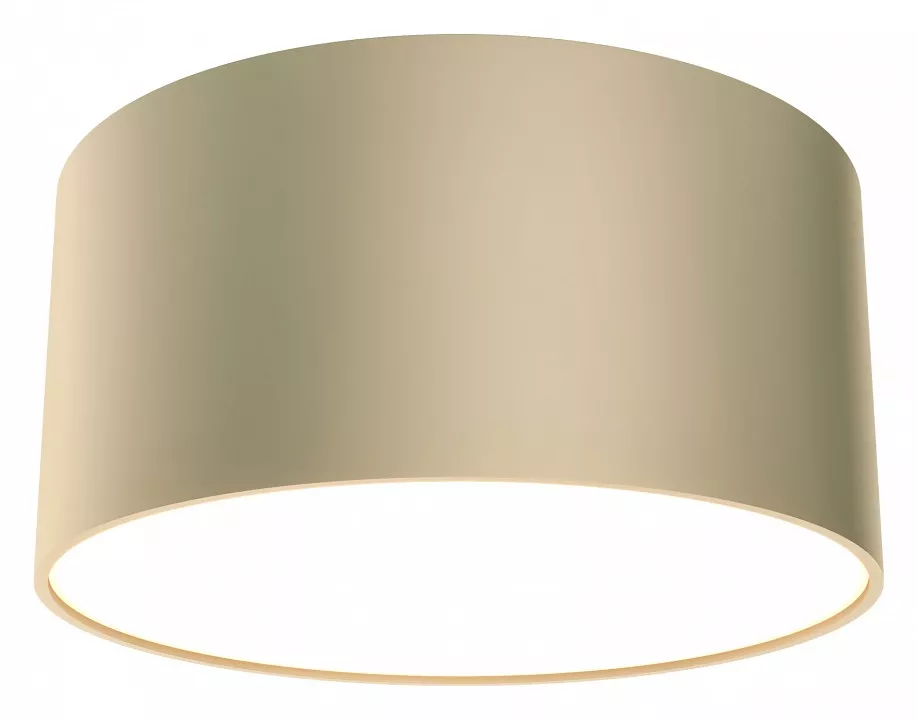 

Накладной светильник Maytoni Zon C032CL-12W4K-RD-MG