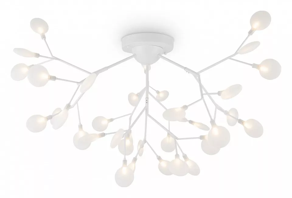 Потолочные люстры Потолочная люстра Freya Florencia FR5049CL-36W1