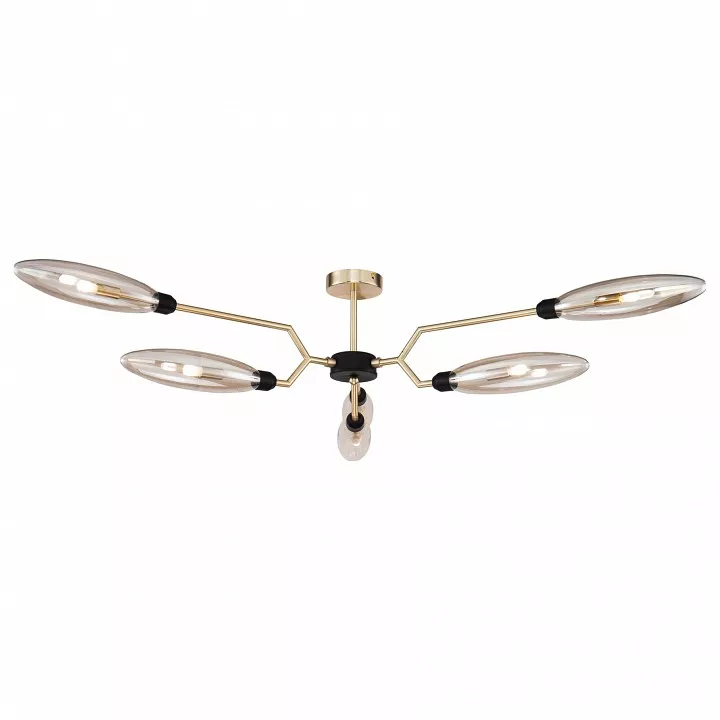 

Потолочная люстра Maytoni Ventura MOD012CL-06G