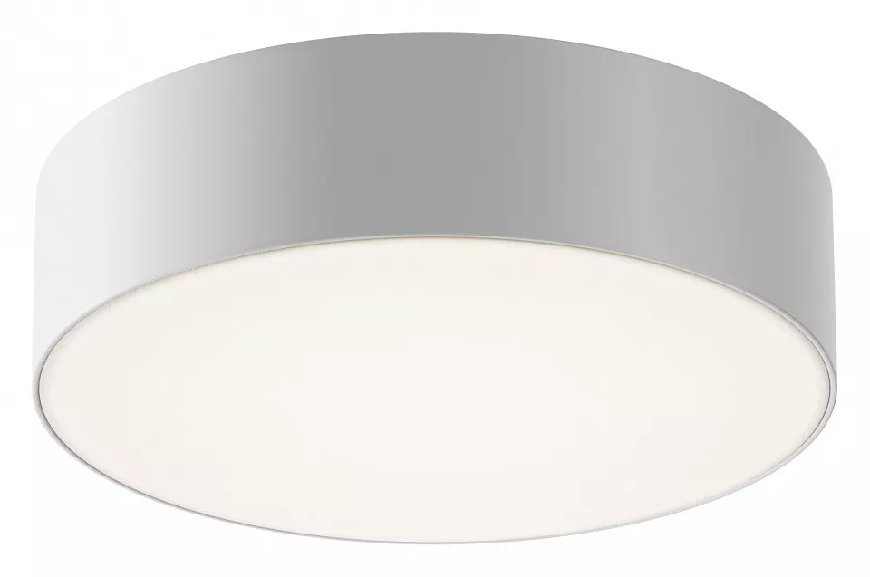 Потолочные светильники Накладной светильник Maytoni Zon IP O431CL-L30W4K