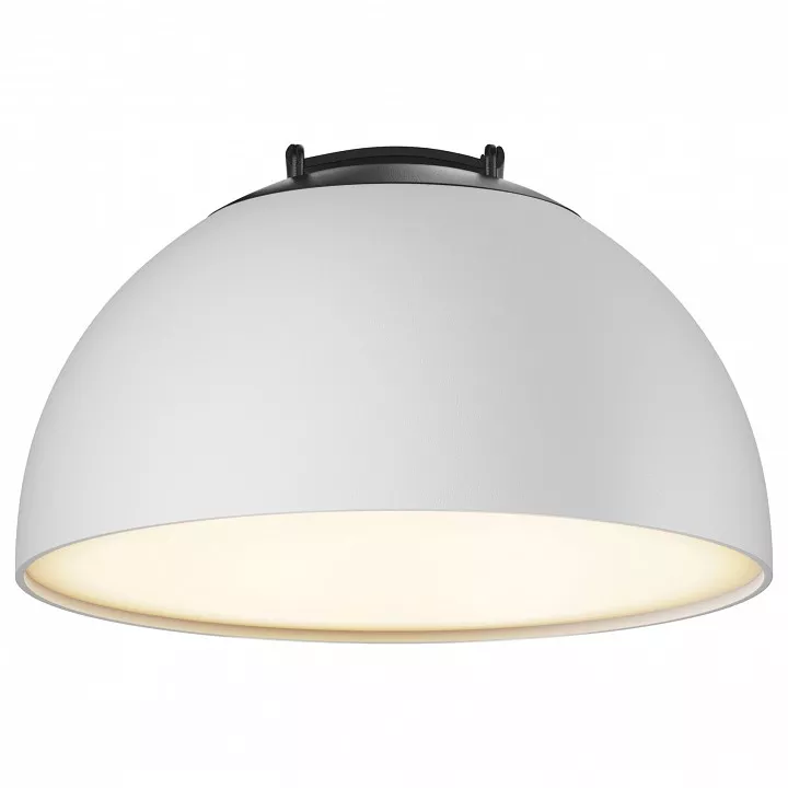 

Накладной светильник Maytoni Bowl TR126B-20W3K-W