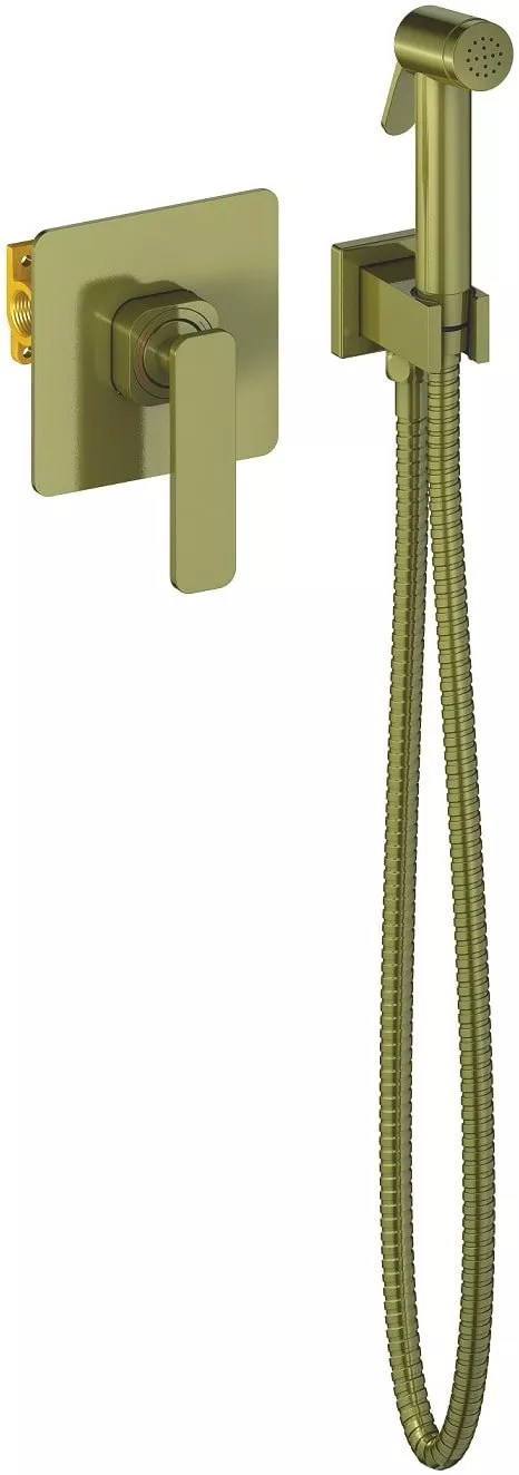 

Смеситель встроенный с гигиеническим душем Timo Torne 4389/02SM антик