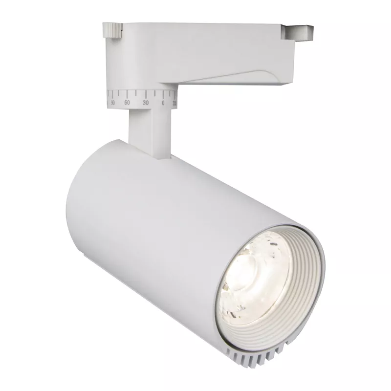 

Трековый светодиодный светильник Escada 20031TRA/02LED SWH