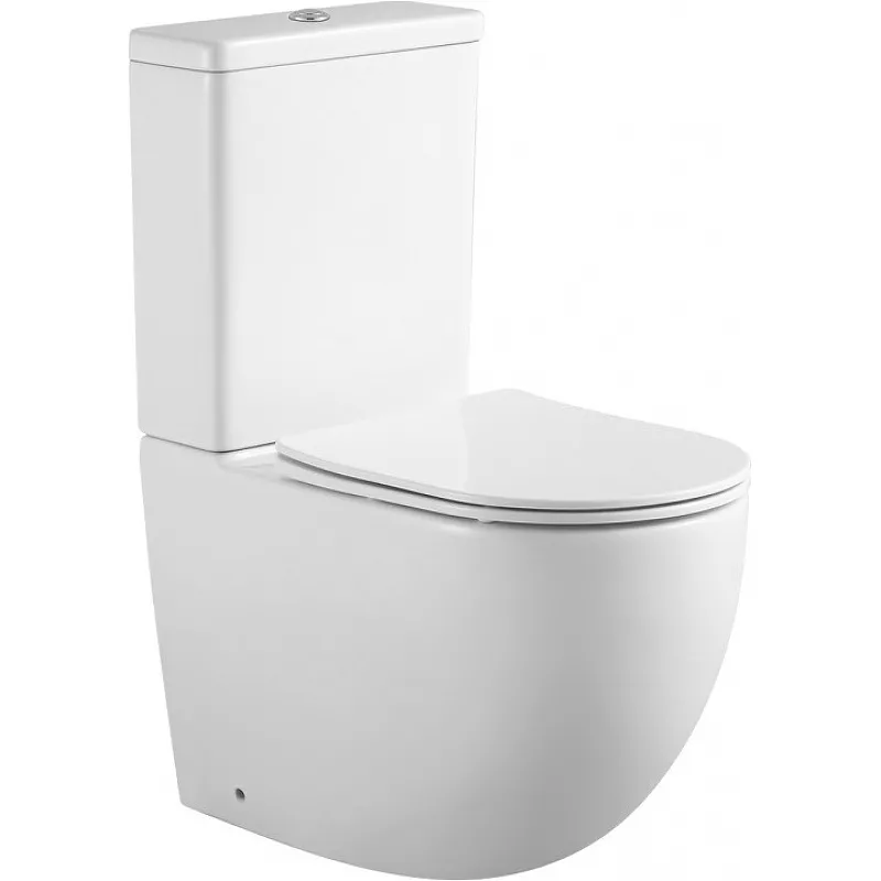 

Напольный унитаз Aquanet Cetus 2.0 белый с сиденьем микролифт и бачком