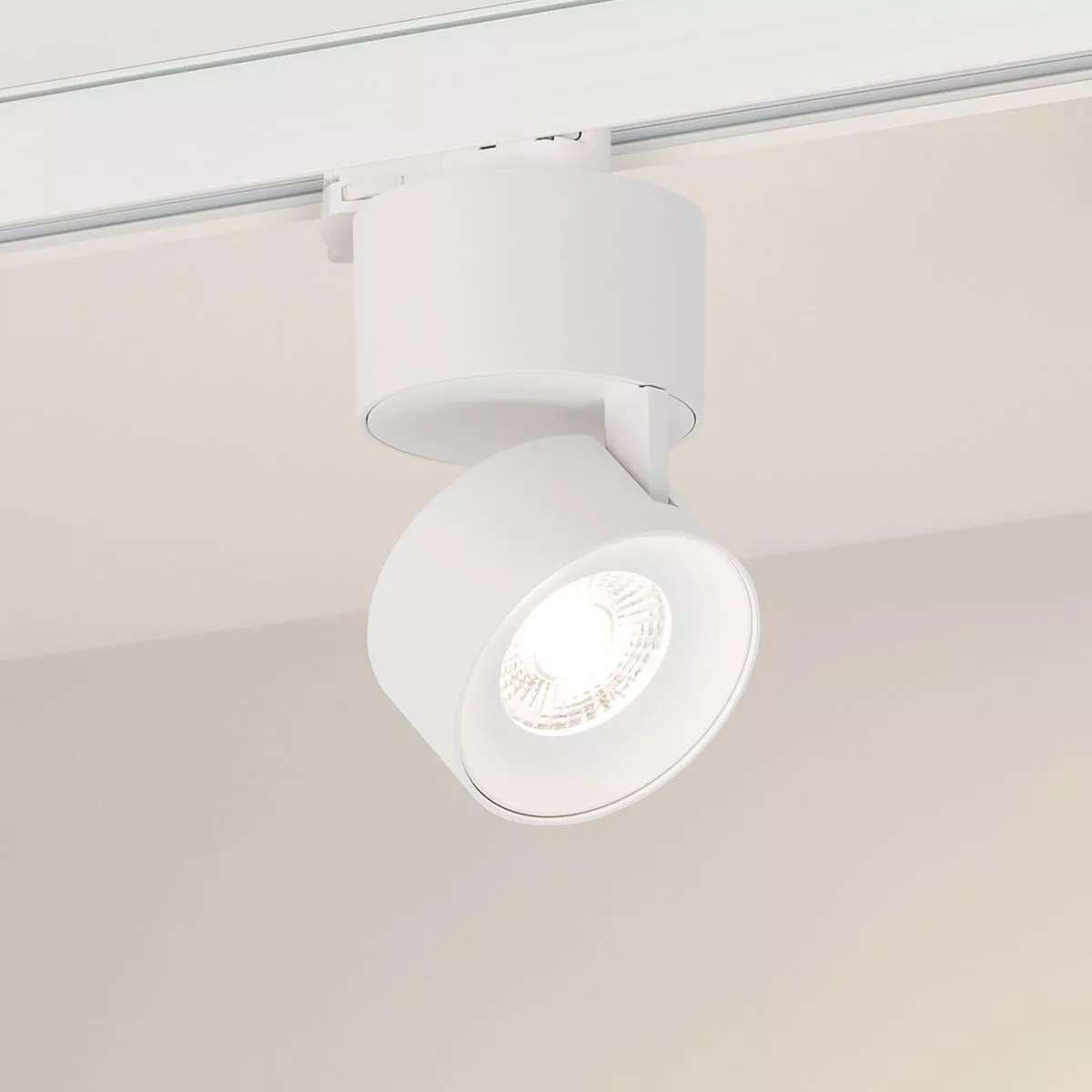 

Трековый трехфазный светильник Arlight SP-PLURIO-TRACK-4TR-R77-9W Day4000 (WH-WH, 36 deg, 230V) (IP20 Металл) 038098