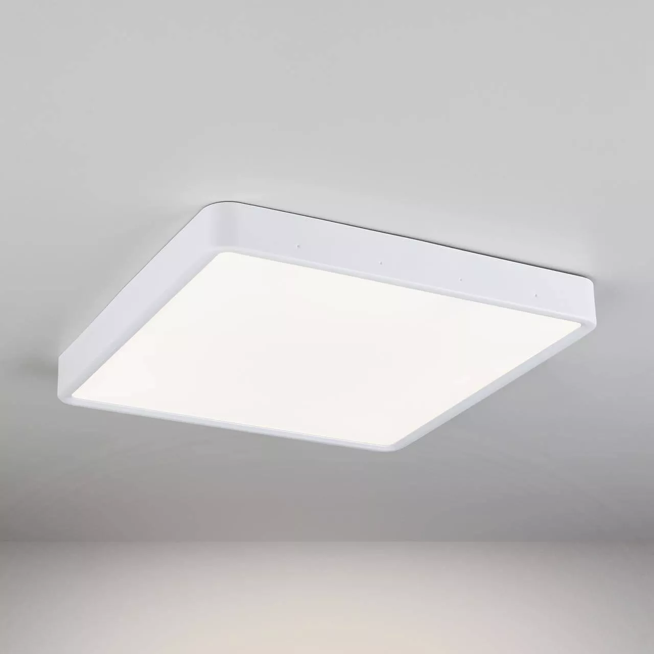 

Потолочный светодиодный светильник Elektrostandard DLS034 24W 4200K a043018