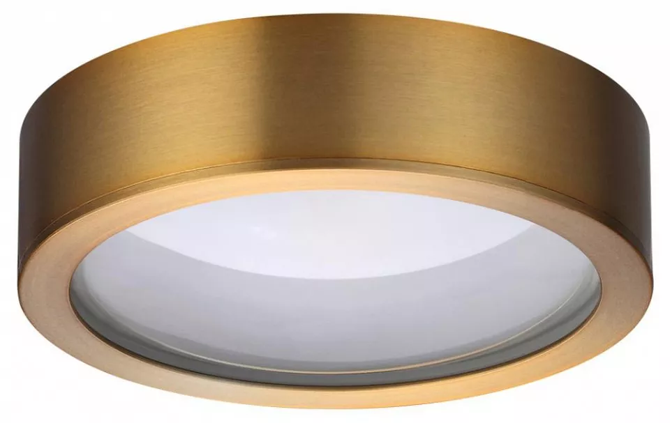 

Накладной светильник Odeon Light Reus 4342/7CL