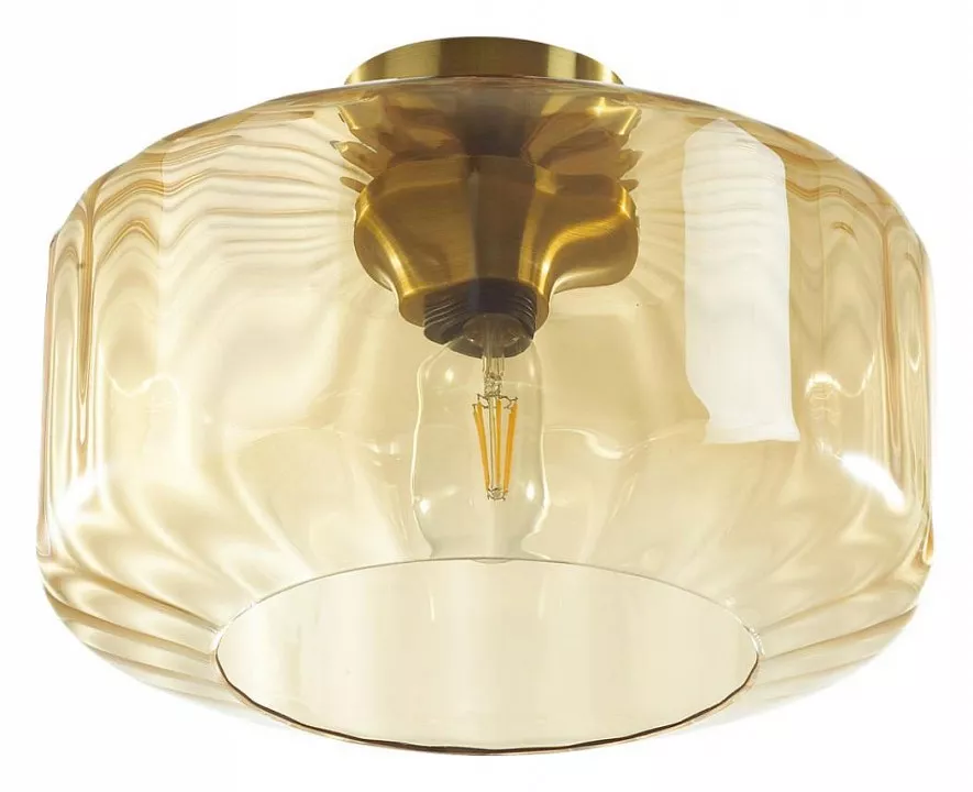 

Потолочный светильник Odeon Light Pendant Binga 4747/1C