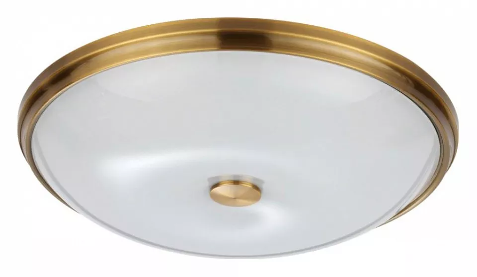 

Потолочный светильник Odeon Light Walli Pelow 4956/5