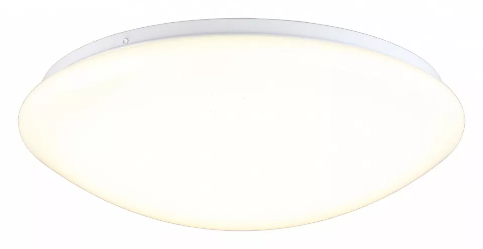 

Накладной светильник Omnilux Berkeley OML-43007-40