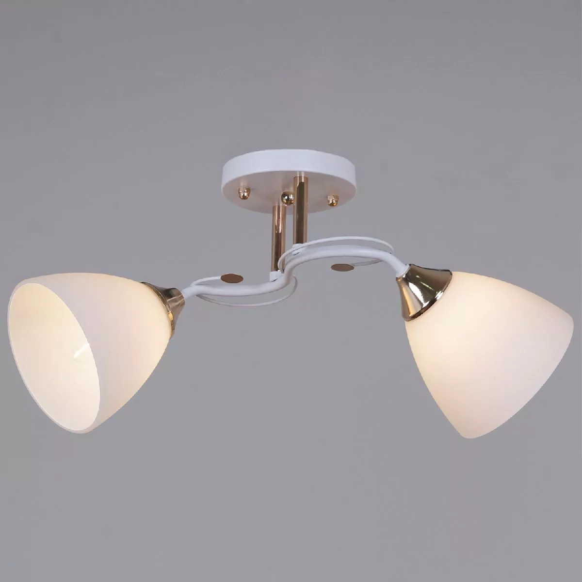 

Потолочный светильник Reluce 06104-0.3-02 WH+FG