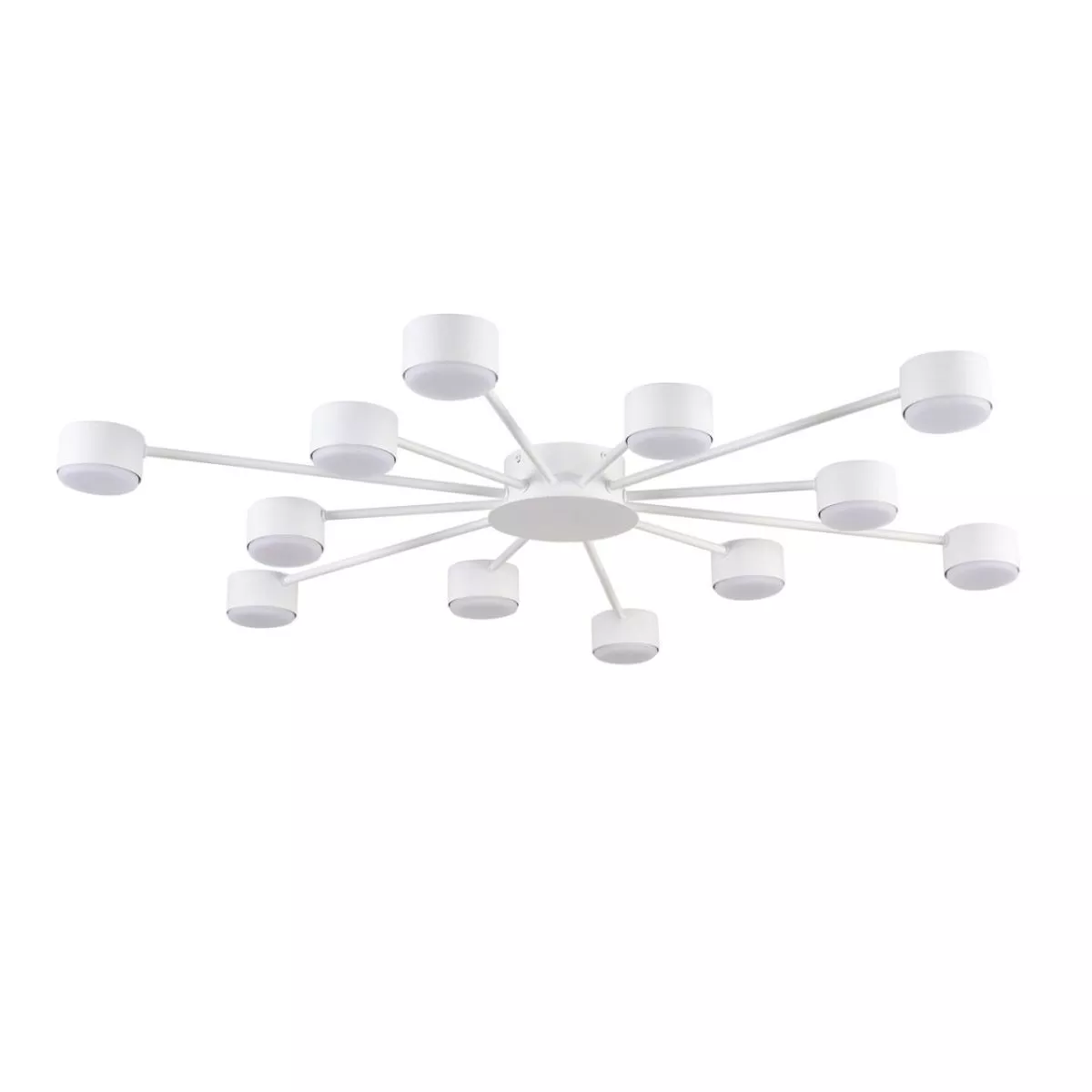 

Потолочная люстра Lumion Comfi Torina 8343/12C