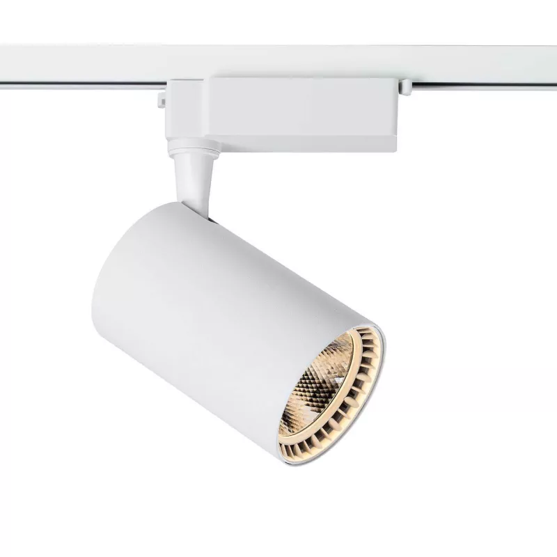 

Трековый светильник Maytoni Track lamps TR003-1-30W3K-W