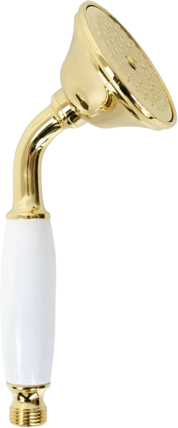 

Душевая лейка Migliore Ricambi 32169 золото, белый