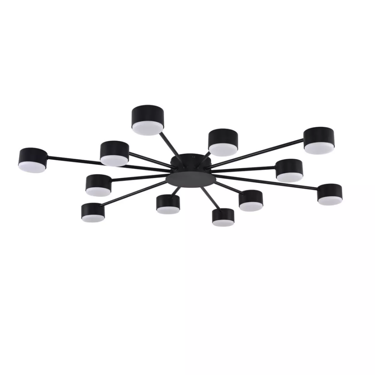 

Потолочная люстра Lumion Comfi Torina 8344/12C