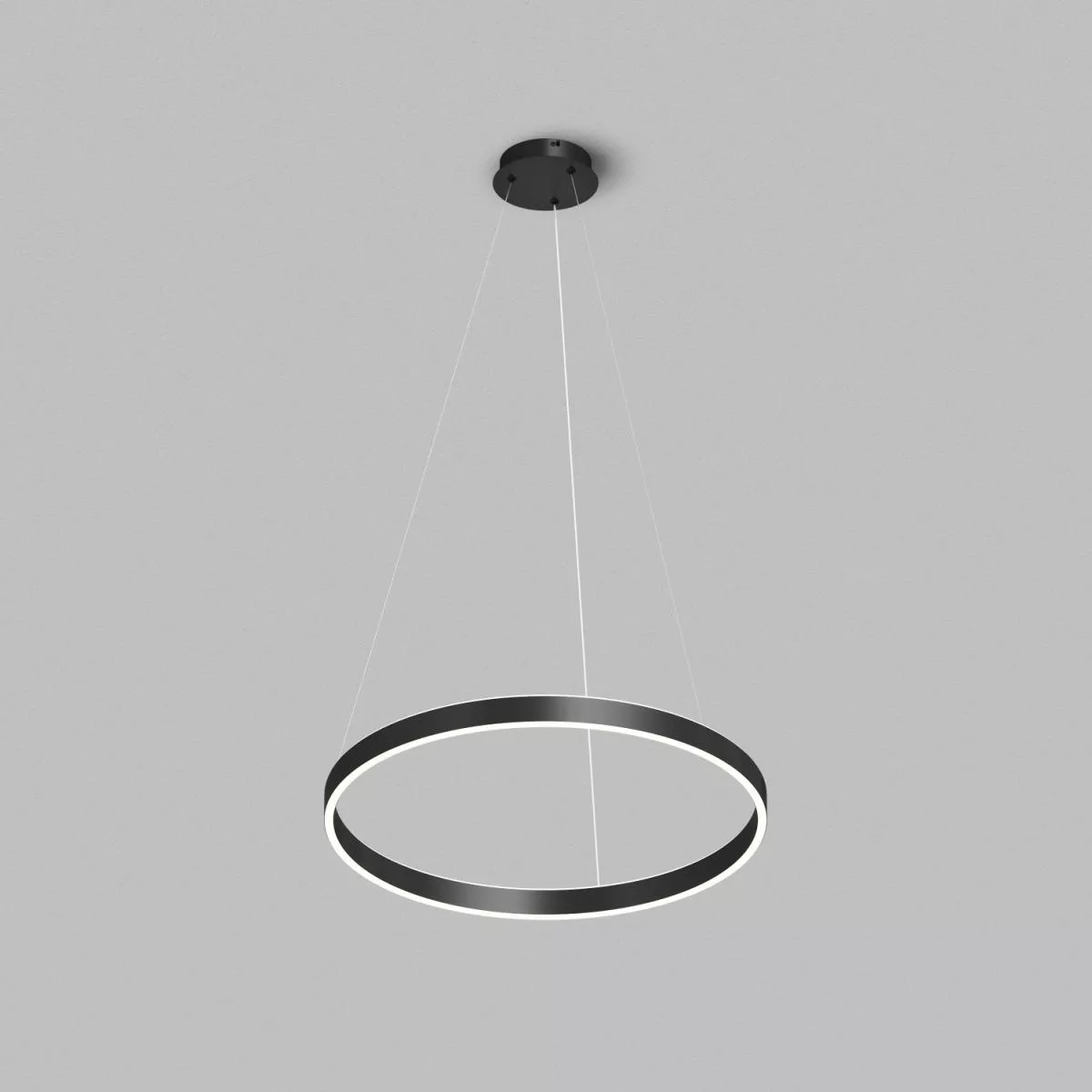 

Подвесной светильник Denkirs Raydia DK6272-BK