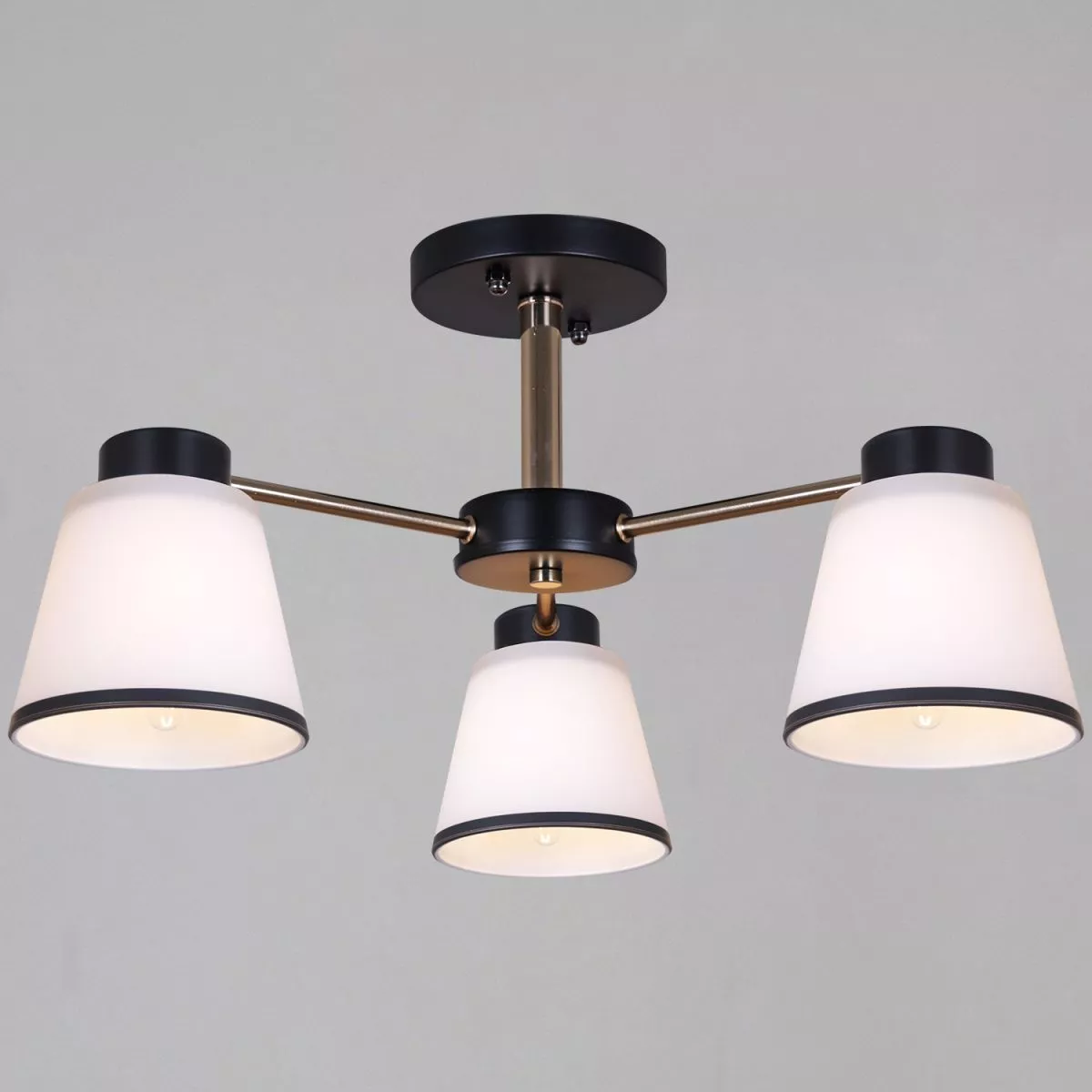 

Потолочный светильник Reluce 30560-0.3-03 BK+FG