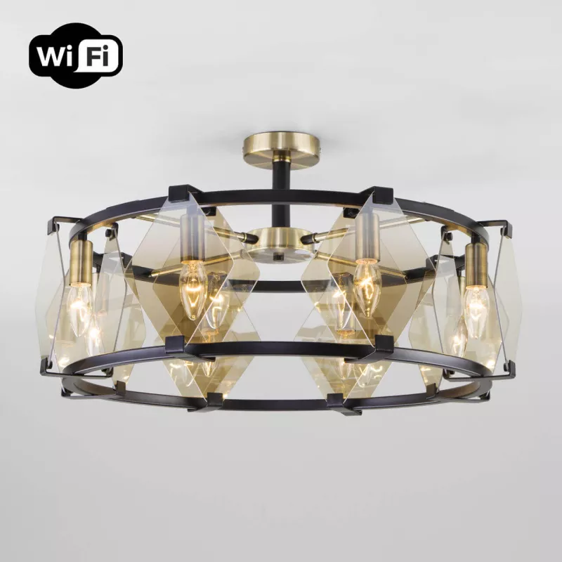 

Потолочная люстра Eurosvet Aragon 60126/8 черный Smart (60116/8)