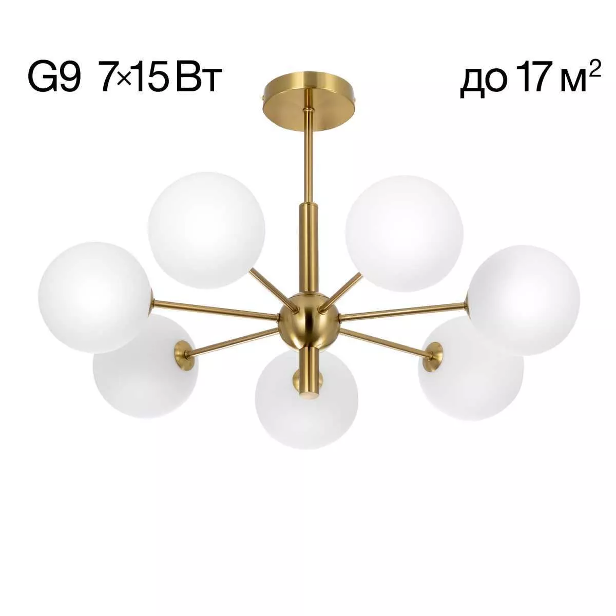 

Настольная лампа Citilux CL306833
