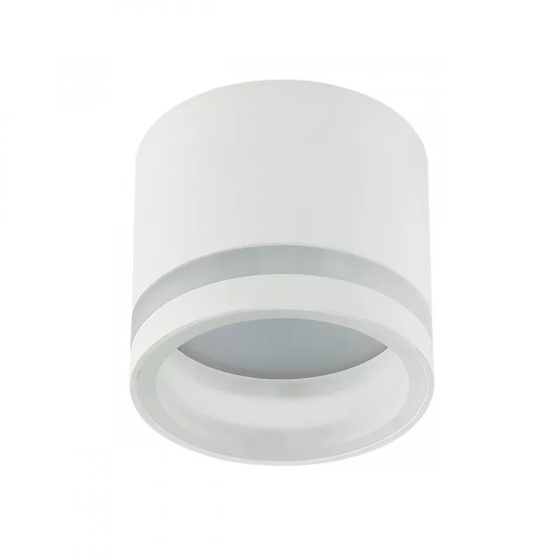 

Накладной светильник IMEX Arta IL.0005.4500 WH