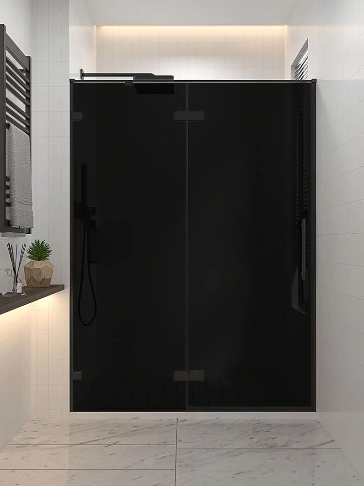 

Душевая дверь в нишу Veconi Premium Alassio BB 120x200, профиль матовый черный, стекло тонированное