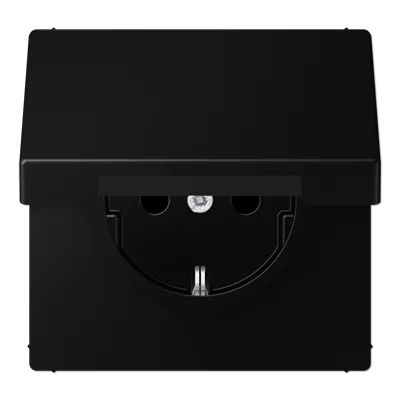 

Розетка Schuko с крышкой Jung LS1520BFKLSWM