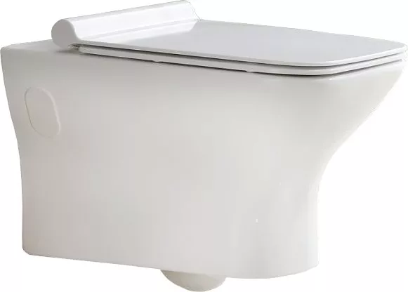 

Унитаз подвесной BelBagno Romano BB248CHR безободковый, Белый