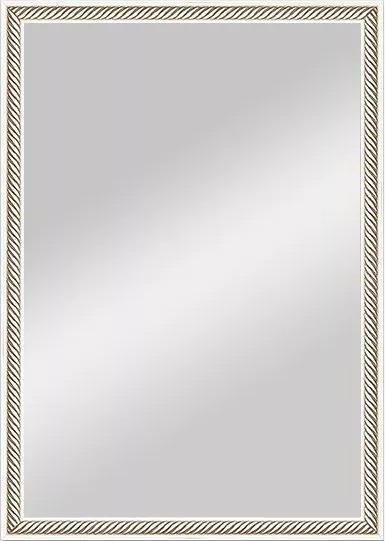 

Зеркало Evoform Definite BY 0622 48x68 витое серебро