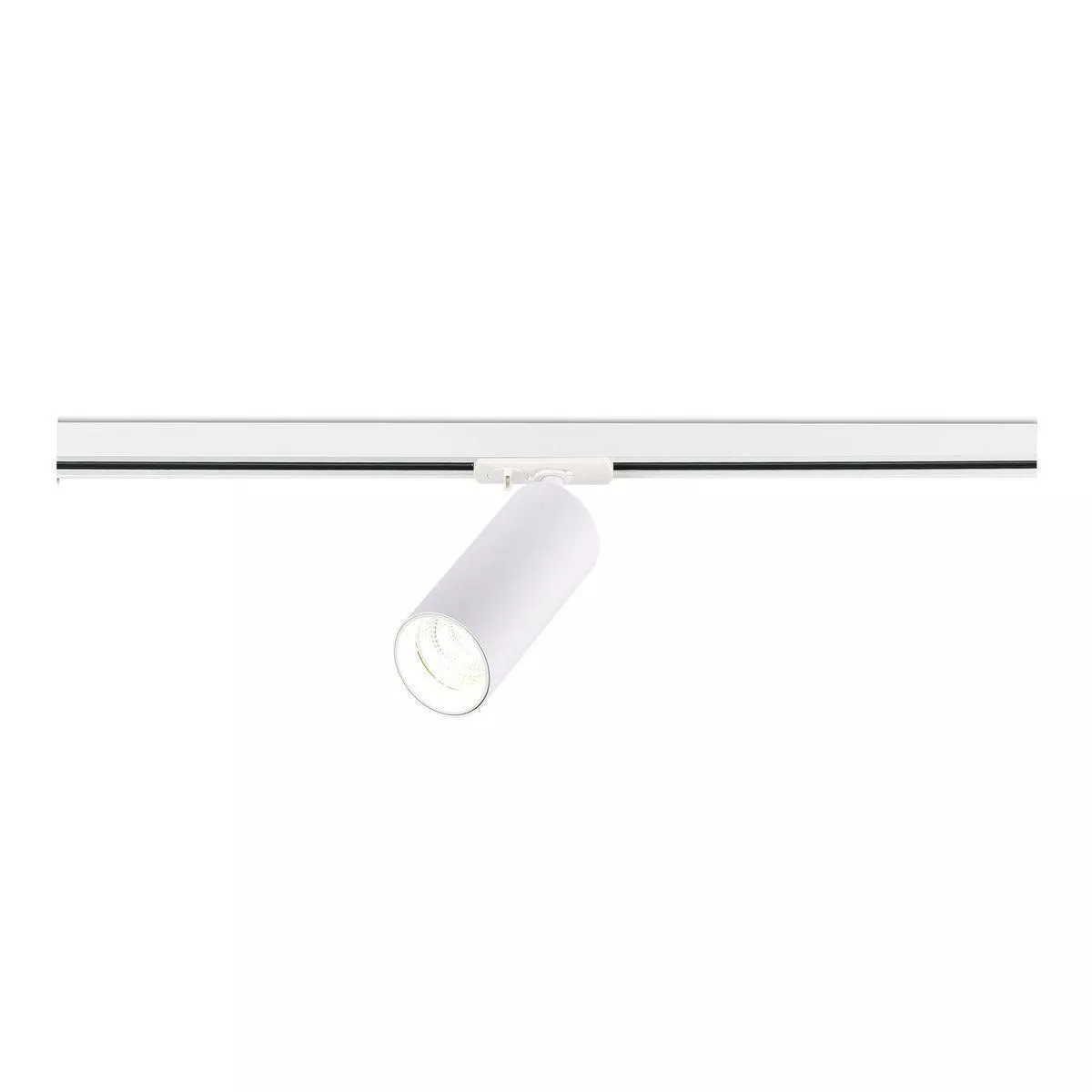 

Трековый светодиодный светильник ST Luce ST382.546.20.TRIAC