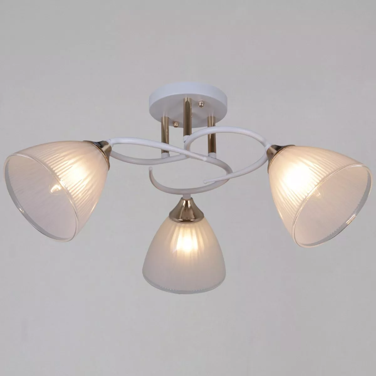 

Потолочный светильник Reluce 04360-0.3-03 WH+FG