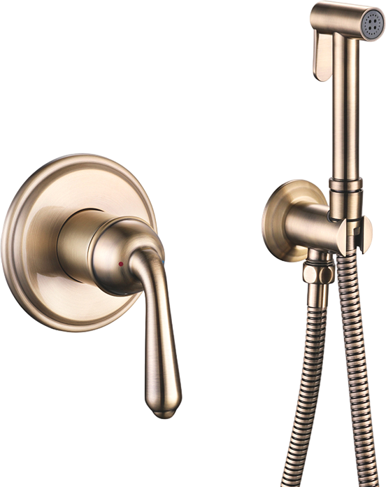 

Гигиенический душ Rose R0205Q со смесителем, С ВНУТРЕННЕЙ ЧАСТЬЮ, бронза