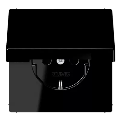 

Розетка Schuko с крышкой Jung LS1520BFKLSW