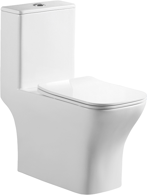 

Унитаз-моноблок напольный BelBagno Neon BB8617CPR-MN/SC