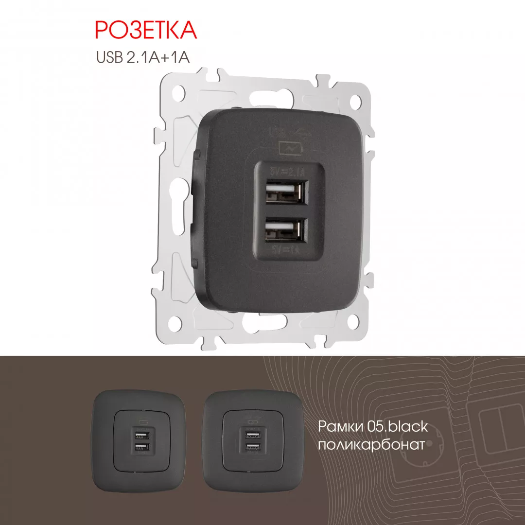

Розетка USB 2.1А+1А Arte Milano 205.46-1.black